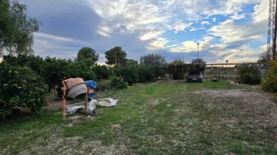 Rustic Finca on Camino de los Cerones photo 17