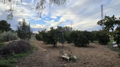 Rustic Finca on Camino de los Cerones photo 19
