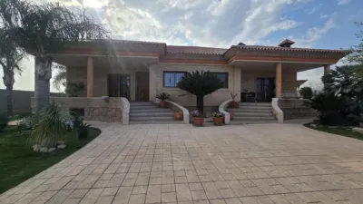 Chalet on Calle Mayor photo 33
