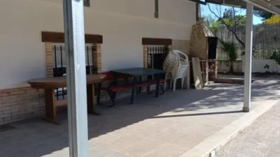 Rustic Finca on Calle Viejo de Fortuna photo 54