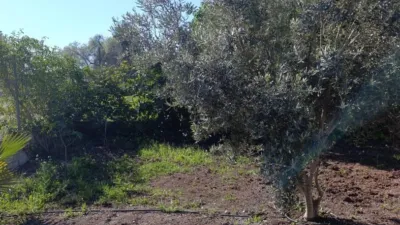 Rustic Finca on Calle Viejo de Fortuna photo 57