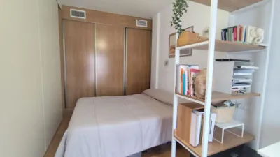 Apartment in Plaza de la Constitución photo 17