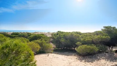 Chalet in El Pinet photo 10