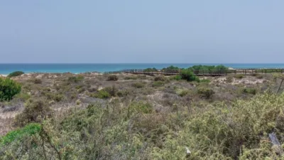 Apartment in Paseo Maritimo Area photo 41