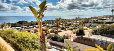 Apartment in Paseo Maritimo Area photo 12
