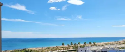 Apartment in Paseo Maritimo Area photo 33