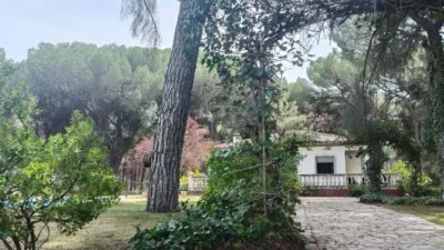Chalet on Jacinto Benavente Street photo 21