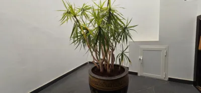 Chalet en venta en Calle General Tf 24 (Las Rosas), La Esperanza (El Rosario) de 899.000 €