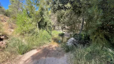 Rustic Finca in Andalucia photo 19