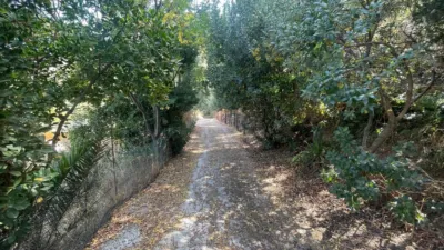 Rustic Finca in Andalucia photo 29
