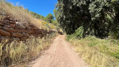 Rustic Finca in Andalucia photo 32