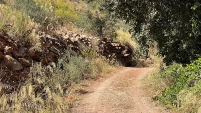 Rustic Finca in Andalucia photo 34