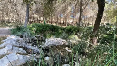 Rustic Finca in Andalucia photo 35