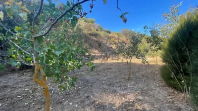 Rustic Finca in Andalucia photo 43