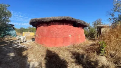 Rustic Finca in Andalucia photo 45
