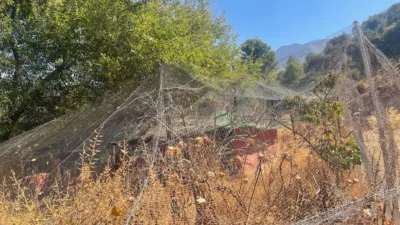 Rustic Finca in Andalucia photo 62