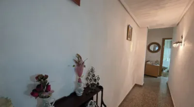 Apartment on Avenida de Gregorio Gea photo 18