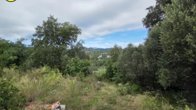 House on Calle Romani photo 37