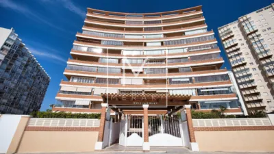 Apartment in Playa Arenal-Bol photo 30