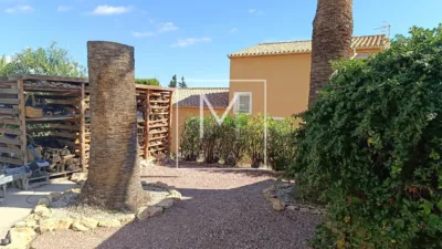 Villa in Cometa photo 14