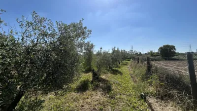 Rustic property on Huerta Mayor Street photo 41