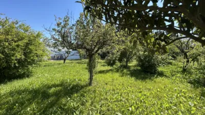 Rustic property on Huerta Mayor Street photo 44