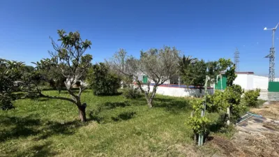 Rustic property on Huerta Mayor Street photo 50