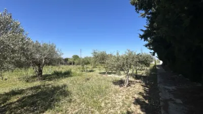 Rustic property on Huerta Mayor Street photo 51
