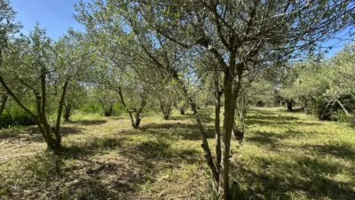 Rustic property on Huerta Mayor Street photo 52