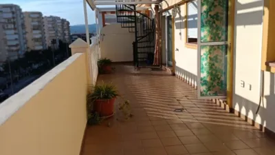 Penthouse in Playa Mezquitilla photo 21