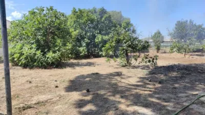 Rustic Finca on Carretera de Chipiona photo 16