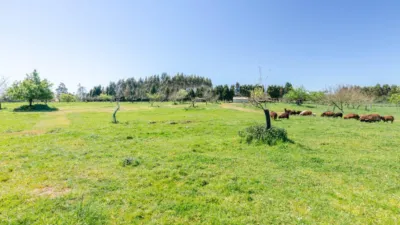 Nave industrial en venta en Calle Llano-Piedeloro, Número 19, La Granda (Candás). Municipio de Carreño de 349.986 €