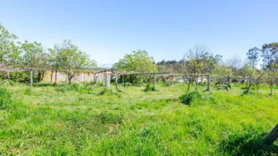 Nave industrial en venta en Calle Llano-Piedeloro, Número 19, La Granda (Candás). Municipio de Carreño de 349.986 €