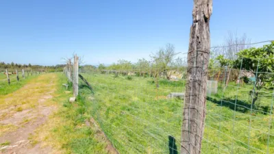 Nave industrial en venta en Calle Llano-Piedeloro, Número 19, La Granda (Candás). Municipio de Carreño de 349.986 €