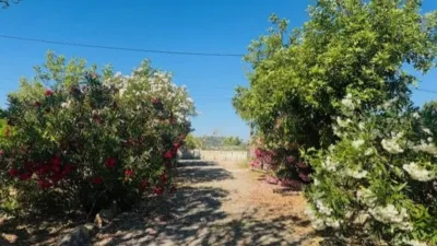 Finca rústica en venta en Calle Poligono 3 Parcela 563, Sant Llorenç des Cardassar de 849.000 €