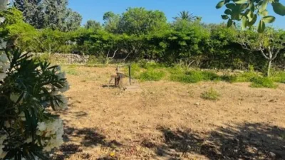 Finca rústica en venta en Calle Poligono 3 Parcela 563, Sant Llorenç des Cardassar de 849.000 €