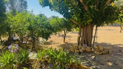 Finca rústica en venta en Calle Poligono 3 Parcela 563, Sant Llorenç des Cardassar de 849.000 €