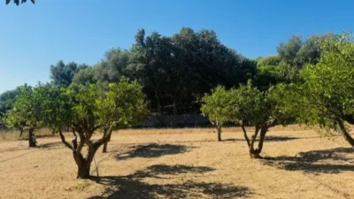 Finca rústica en venta en Calle Poligono 3 Parcela 563, Sant Llorenç des Cardassar de 849.000 €