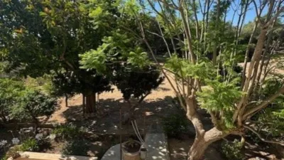 Finca rústica en venta en Calle Poligono 3 Parcela 563, Sant Llorenç des Cardassar de 849.000 €