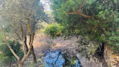 Finca rústica en venta en Calle Poligono 3 Parcela 563, Sant Llorenç des Cardassar de 849.000 €