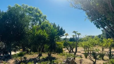 Finca rústica en venta en Calle Poligono 3 Parcela 563, Sant Llorenç des Cardassar de 849.000 €