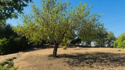 Finca rústica en venta en Calle Poligono 3 Parcela 563, Sant Llorenç des Cardassar de 849.000 €