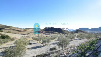 Rustic Finca in La Hoya-Almendricos-Purias photo 25