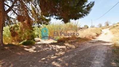 Rustic finca in Mazarrón photo 42
