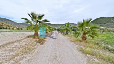 Rustic finca in Los Rincones photo 36