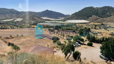 Rustic finca in Los Rincones photo 41