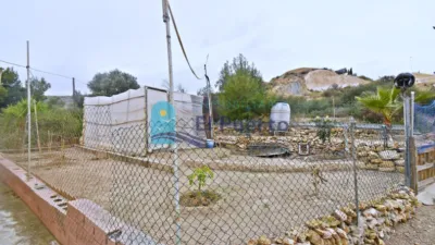 Rustic Finca in Las Balsicas photo 22