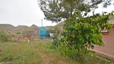 Rustic Finca in Las Balsicas photo 25