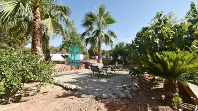 Rustic finca in Mortí photo 47