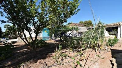 Rustic finca in Mortí photo 53